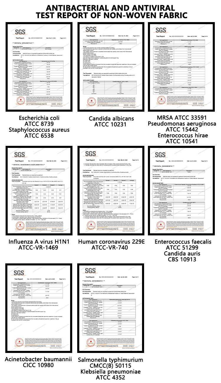 抗菌檢測報告英文 - 副本.jpg